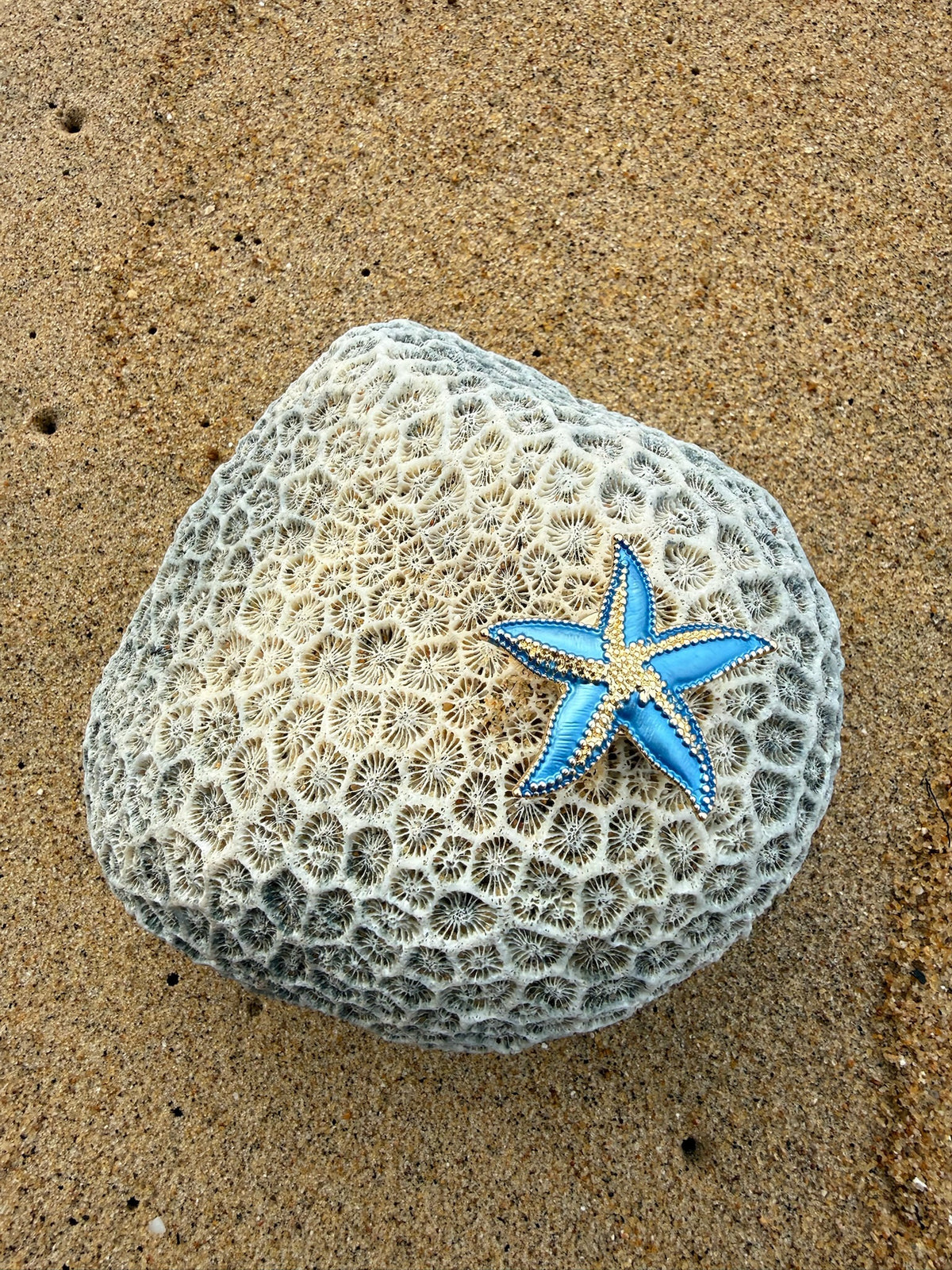 Amalfi Star